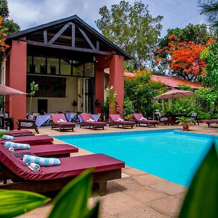 Hibiscus House Gambia Otel Brufut Dış mekan fotoğraf