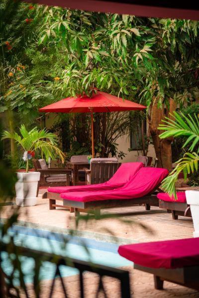 Hibiscus House Gambia Otel Brufut Dış mekan fotoğraf