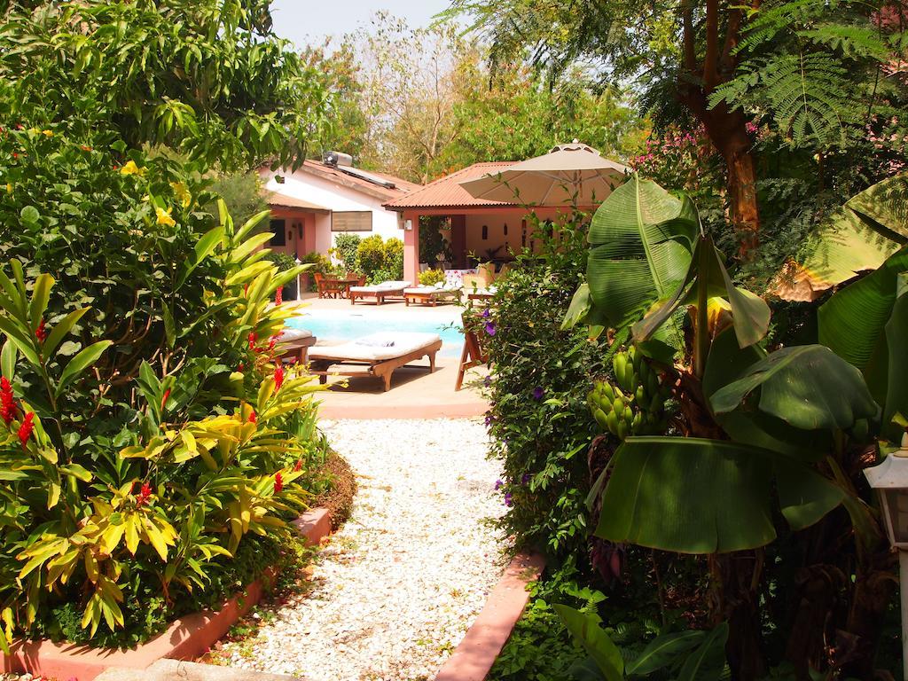 Hibiscus House Gambia Otel Brufut Dış mekan fotoğraf